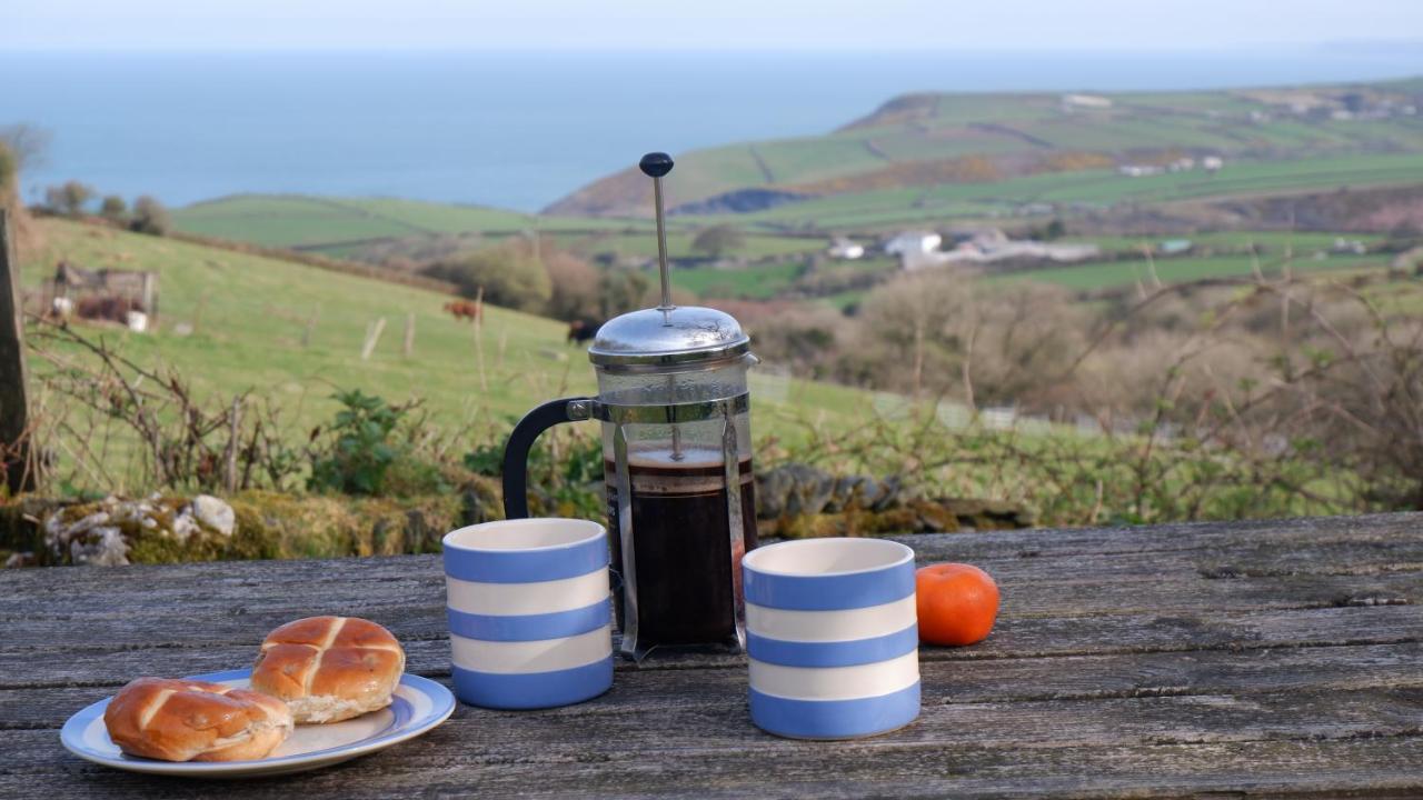 Polrunny Farm Elderberry Cottage With Sea View Boscastle Esterno foto