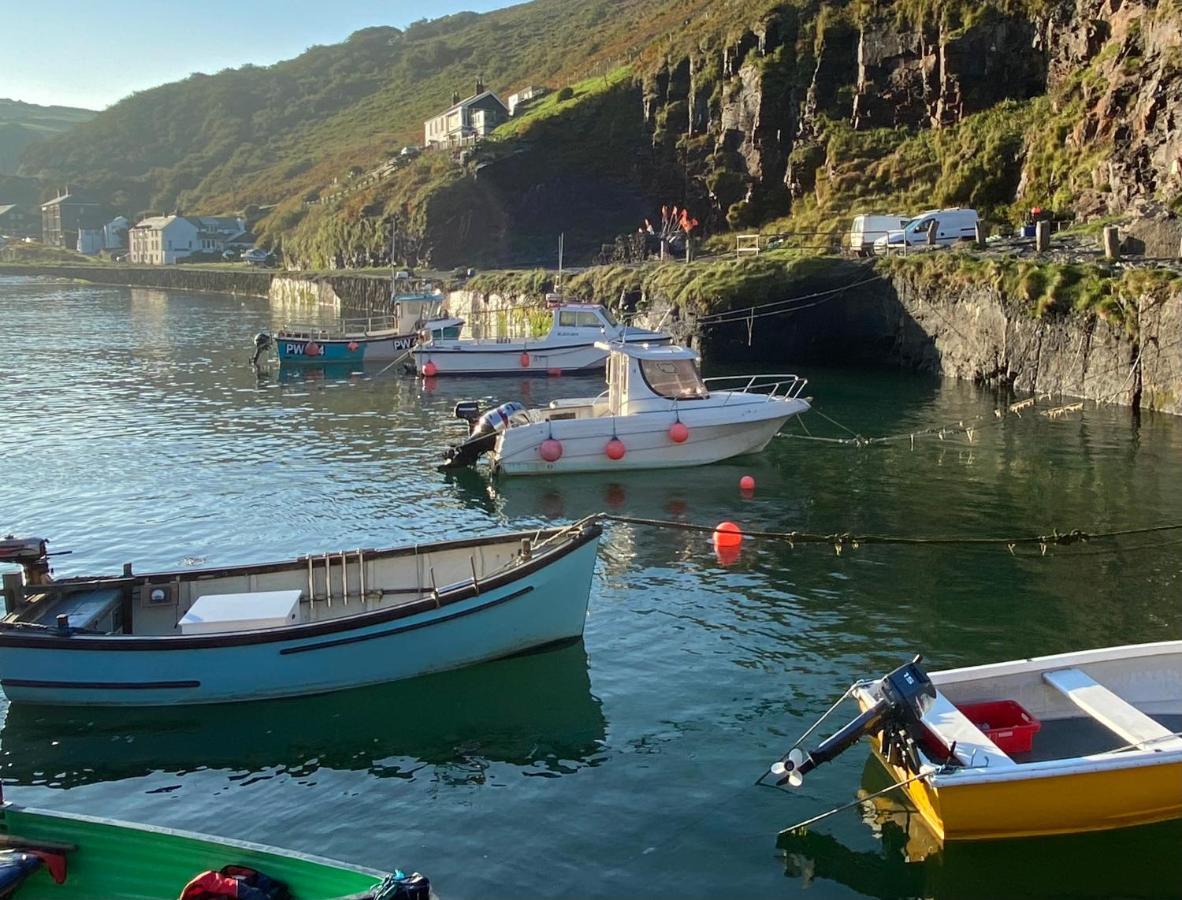 Polrunny Farm Elderberry Cottage With Sea View Boscastle Esterno foto