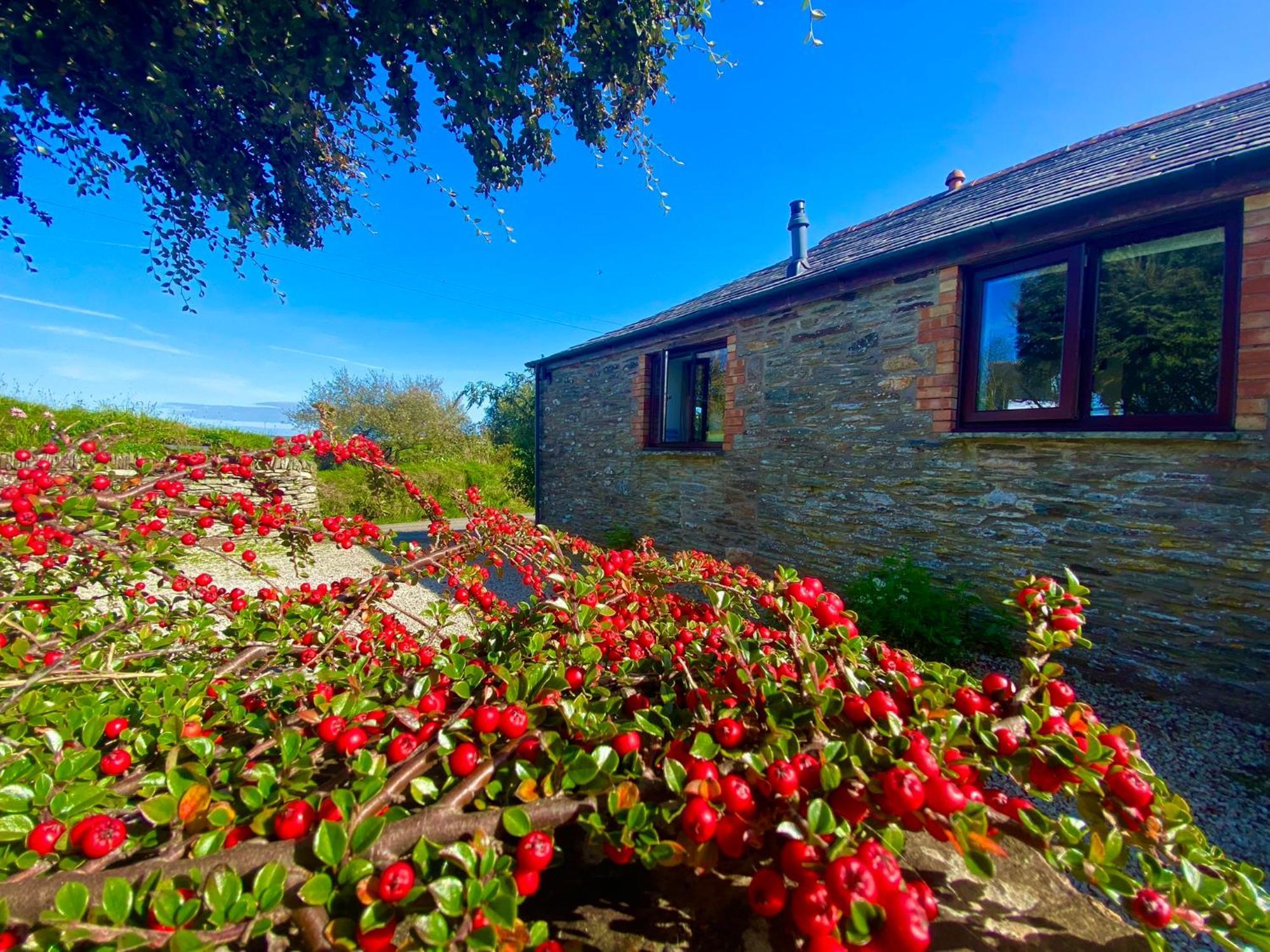 Polrunny Farm Elderberry Cottage With Sea View Boscastle Esterno foto